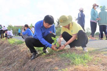 Đoàn thanh niên Công ty TNHH MTV Điện lực Hải Phòng tham gia trồng cây tại xã Bát Trang huyện Tiên Lãng