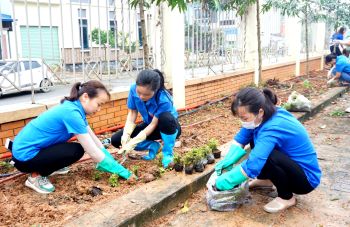 ĐTN trường cao đẳng Bách Nghệ trồng cây hưởng ứng ngày chủ nhật xanh