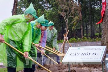 Hải Phòng khởi động chương trình "Trồng 1 triệu cây xanh"