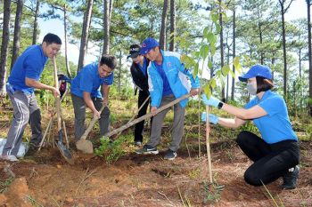 Đoàn thanh niên Công ty xi măng Vicem Hải Phòng tham gia phong trào trồng cây gây rừng tại địa bàn xã Đại Hợp quận Đồ Sơn