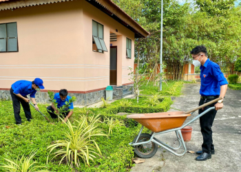 Đoàn trường đại học y dược Hải Phòng chung tay dọn vệ sinh và trồng cây bảo vệ môi trường