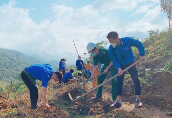 Đoàn thanh niên Bộ Chỉ huy quân sự TP tham gia chiến dịch trồng cây tại địa bàn xã Dũng Tiến huyện Vĩnh Bảo