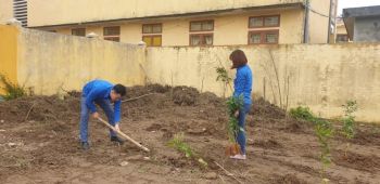 MÙA XUÂN LÀ TẾT TRỒNG CÂY, LÀM CHO ĐẤT NƯỚC CÀNG NGÀY CÀNG XUÂN