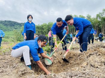 hưởng ứng ngày chủ nhật xanh