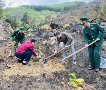 trồng cây tại xã Trân Châu