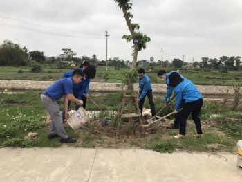 Đoàn thanh niên Tổng công ty xây dựng Bạch Đằng tham gia phong trào chủ nhật xanh