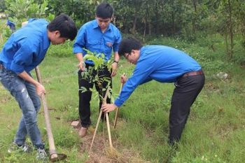 Đoàn thanh niên bệnh viện Việt Tiệp tham gia trồng cây xanh tại xã An Đồng huyện An Dương