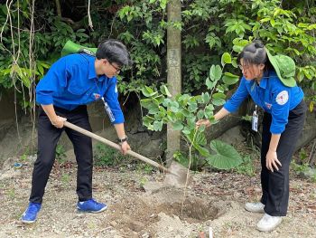 RA QUÂN HOẠT ĐỘNG TRỒNG CÂY XANH VÀ DỌN VỆ SINH MÔI TRƯỜNG TẠI XÃ TRÂN CHÂU, HUYỆN CÁT HẢI