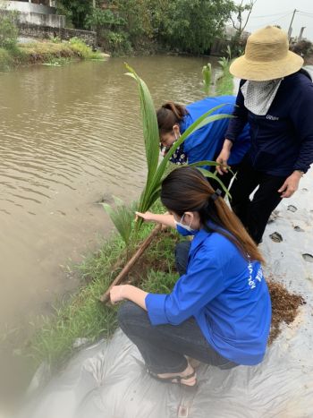 Tuổi trẻ Tiên Cường ra quân hưởng ứng Ngày Chủ nhật xanh