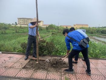 ĐTN Thị trấn An Dương trồng cây năm 2023
