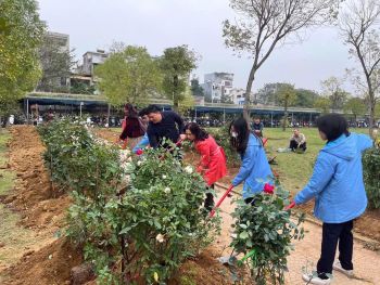 Đoàn trường THPT Chuyên Trần Phú đã phát động phong trào trồng cây xanh trong khuôn viên nhà trường nhằm xây dựng ý thức trách nhiệm cho cán bộ, giáo viên và toàn thể học sinh trong phong trào bảo vệ môi trường, tạo dựng cảnh quan “Trường học xanh -