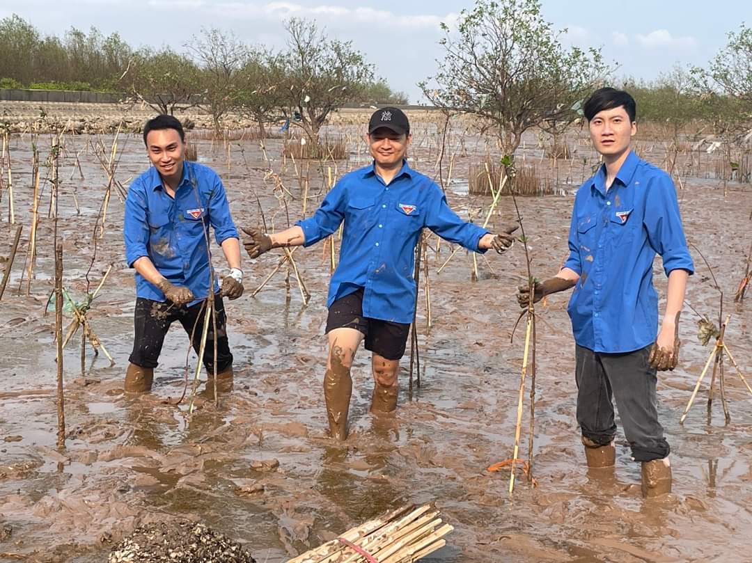 Trồng cây hưởng ứng ngày chủ nhật xanh