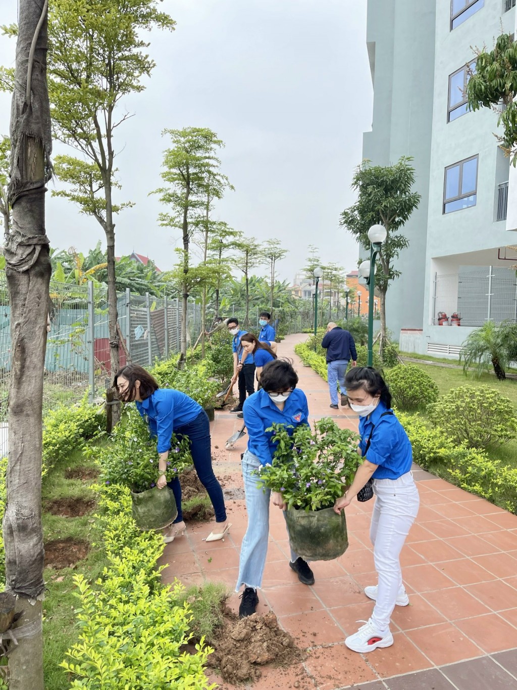 Đoàn trường đại học y dược Hải phòng hưởng ứng ngày chủ nhật xanh