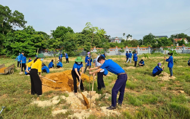 Đoàn trường cao đẳng Bách Nghệ trồng cây xanh chung tay xây dựng nông thôn mới