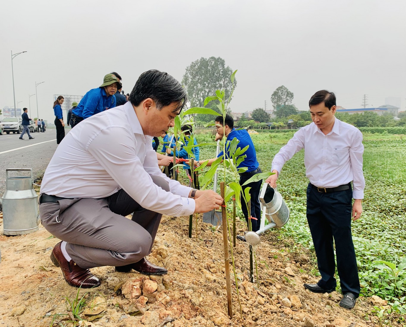 Đoàn thanh niên Công ty TNHH MTV Điện lực Hải Phòng tham gia trồng cây gây rừng tại xã An Thọ huyện An Lão