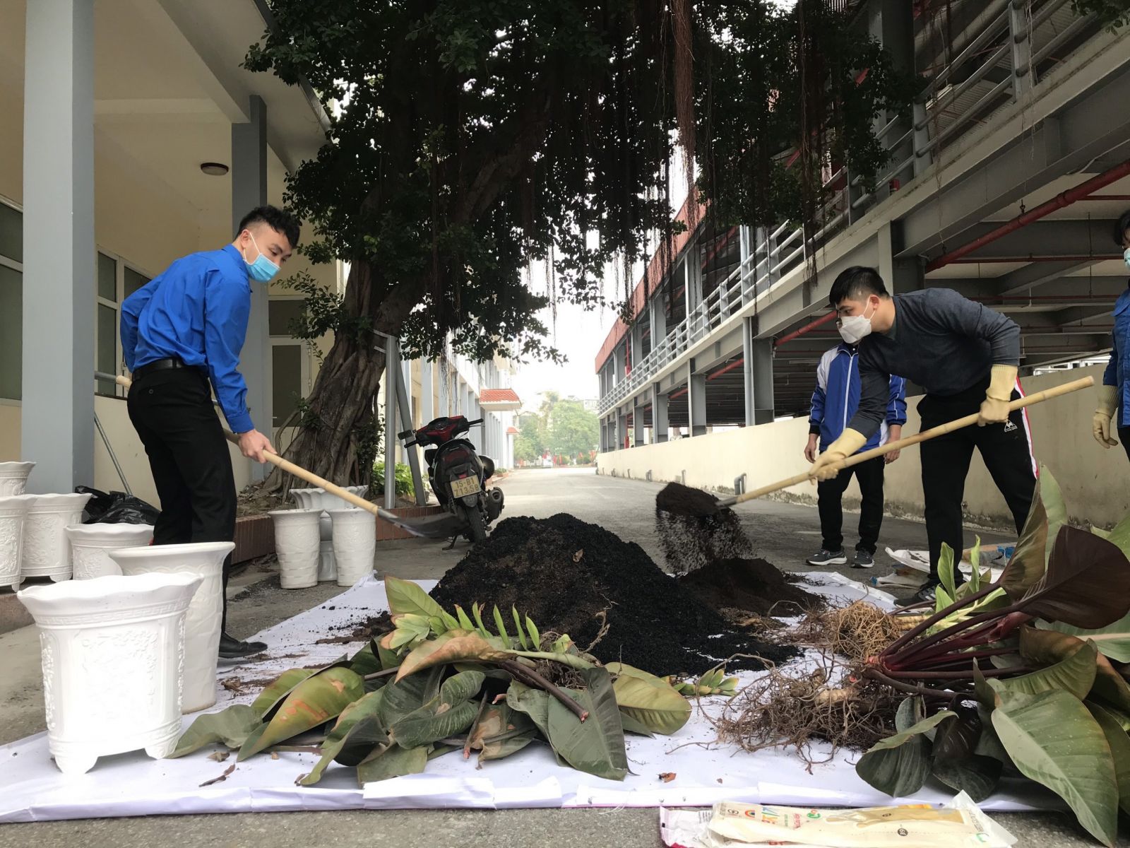 trường đại học hàng hải Việt Nam hưởng ứng phong trào tết trồng cây