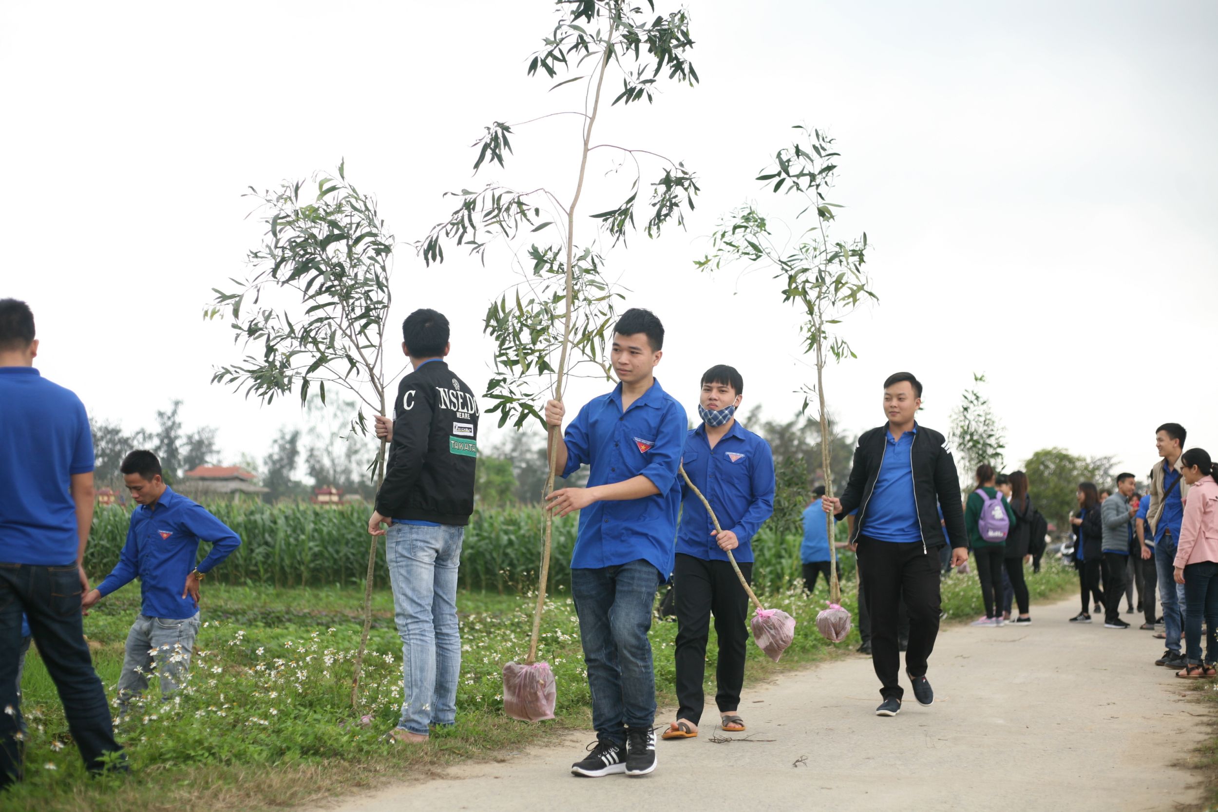 chiến dịch chung tay trồng cây bảo vệ môi trường cùng ĐTN công ty CP cảng Hải Phòng