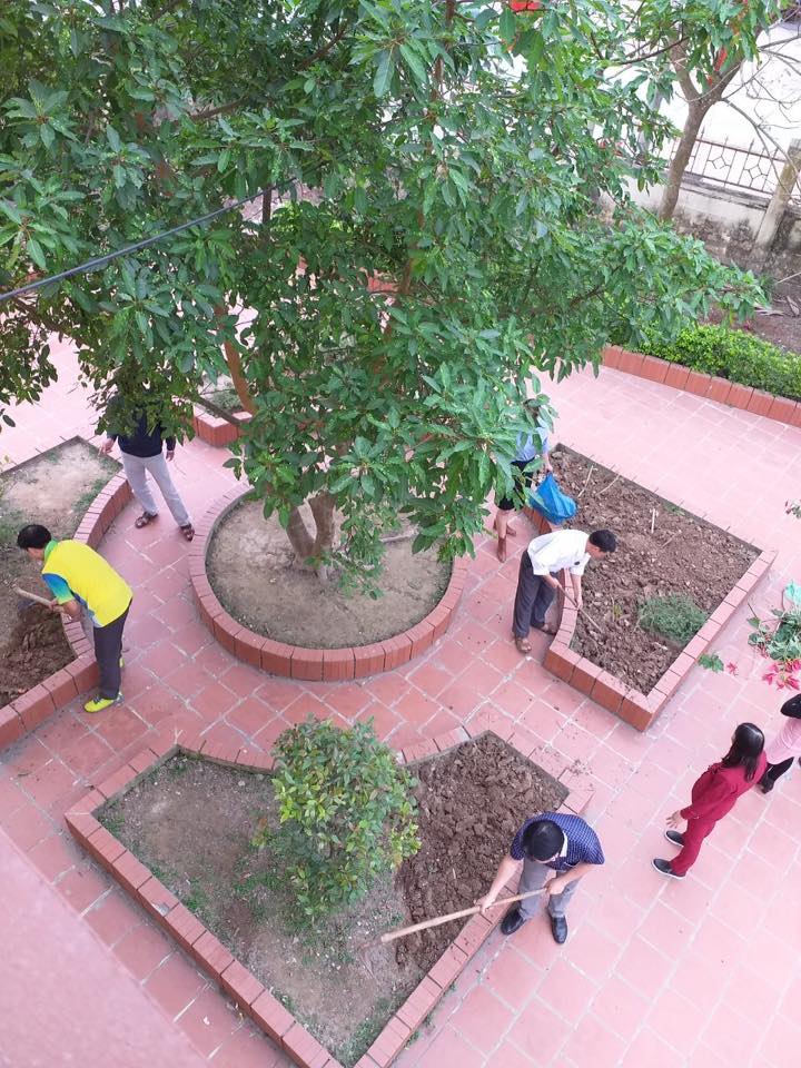 Trường Tiểu học Vinh Quang tích cực trồng cây