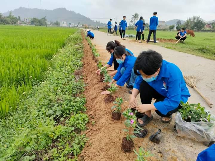 ĐTN cao đẳng giao thông vận tải TW2 dọn dẹp vệ sinh trồng cây xung quanh môi trường biển