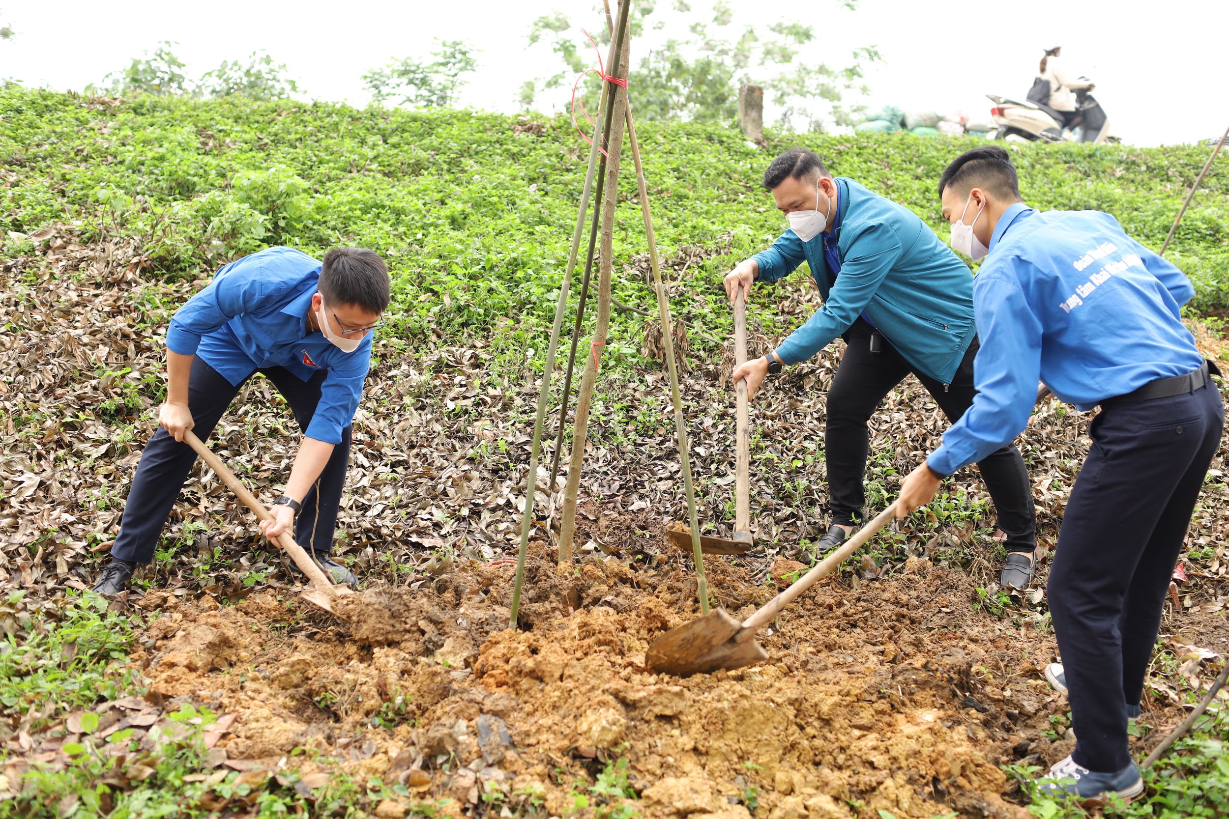 Đoàn thanh niên quận Dương Kinh tham gia phong trào trồng cây gây rừng tại phường Anh Dũng