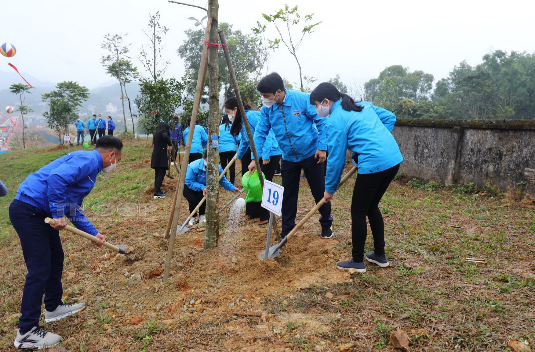 Đoàn thanh niên Khu Kinh tế tham gia chiến dịch trồng cây tại xã An Thắng huyện An Lão