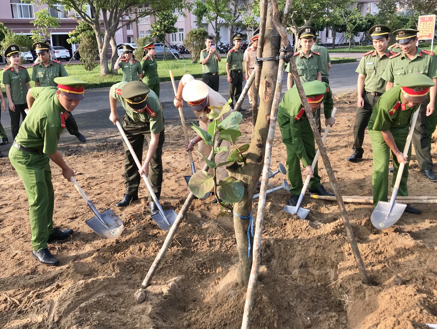Đoàn thanh niên Bộ Chỉ huy quân sự TP tham gia chiến dịch trồng cây gây rừng tại địa bàn xã Chính Mỹ huyện Thủy Nguyên