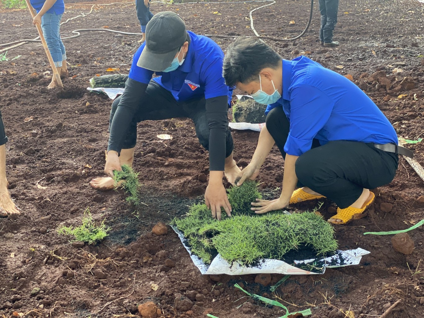 Đoàn thanh niên Tổng công ty xây dựng Bạch Đằng tham gia phong trào trồng cây tại xã Cấp Tiến huyện Tiên Lãng