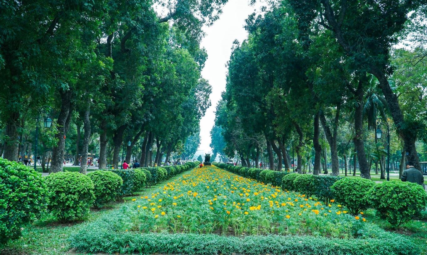 Trồng và bảo vệ cây xanh - Giải pháp giảm thiểu ô nhiễm môi trường không khí ở Việt Nam