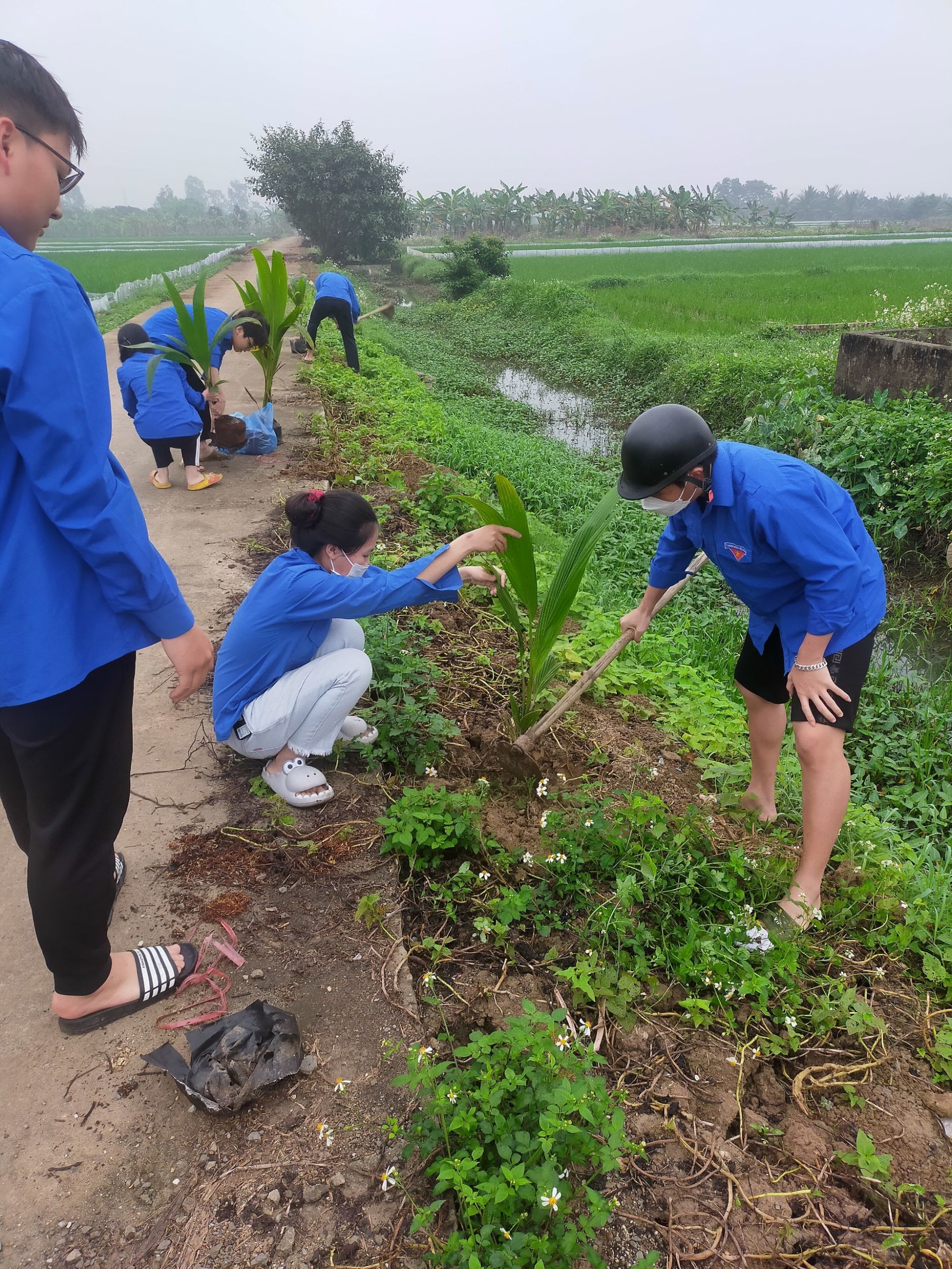 Tuổi trẻ Quyết Tiến ra quân trồng cây xanh