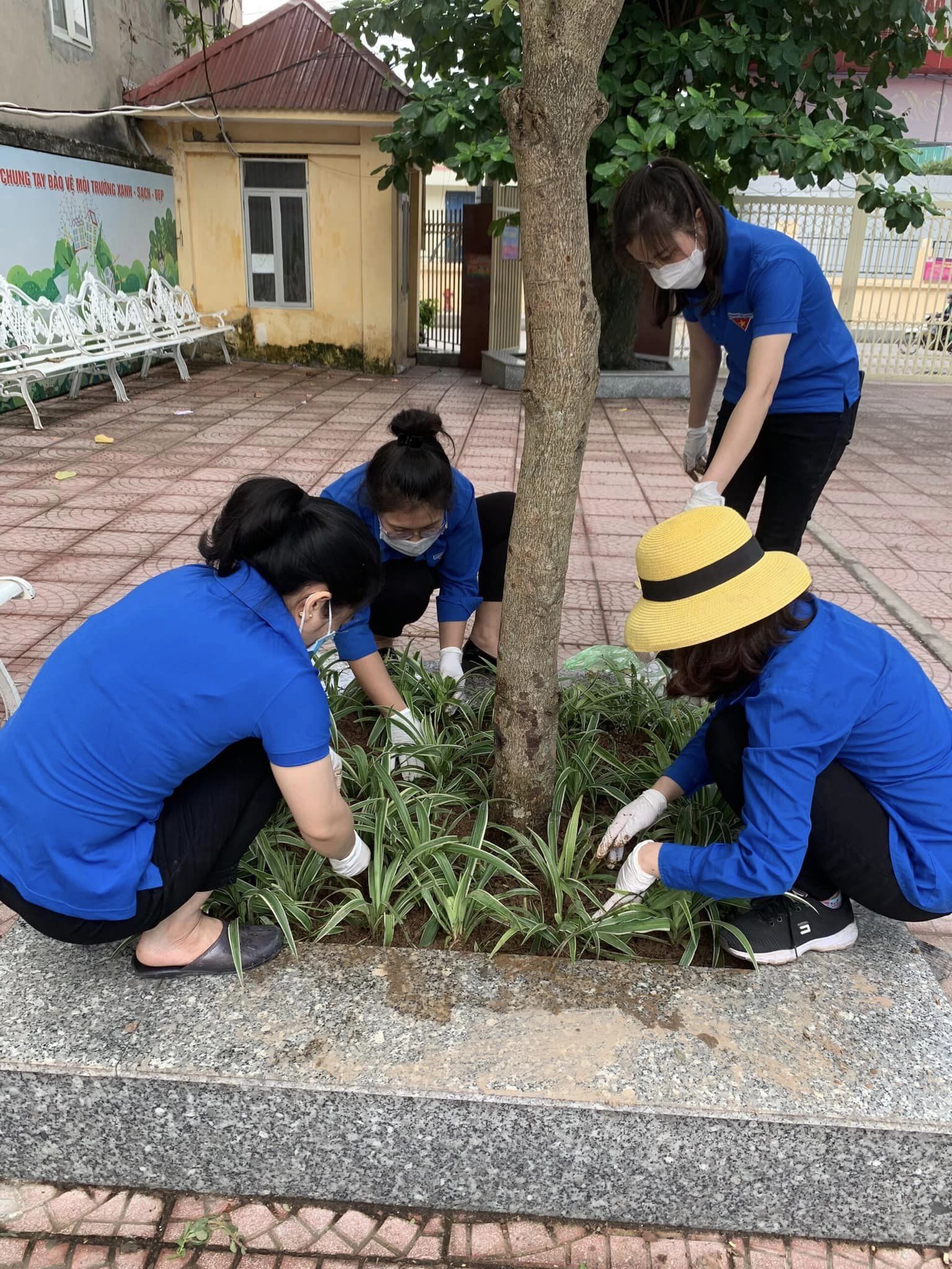 Tích cực tiếp tục Thực hiện Chương trình "Vì một Việt Nam xanh" năm 2024, Hưởng ứng phong trào "Trồng cây nhớ Bác - Vì một Việt Nam xanh"