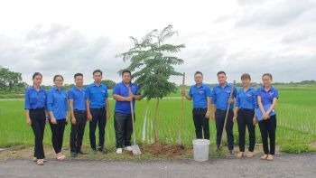 ĐOÀN THANH NIÊN – HỘI LHTN HUYỆN VĨNH BẢO PHỐI HỢP CÙNG ĐOÀN THANH NIÊN KHU KINH TẾ THÀNH PHỐ HẢI PHÒNG CHUNG TAY HƯỞNG ỨNG CHƯƠNG TRÌNH VÌ MỘT VIỆT NAM XANH NĂM 2024