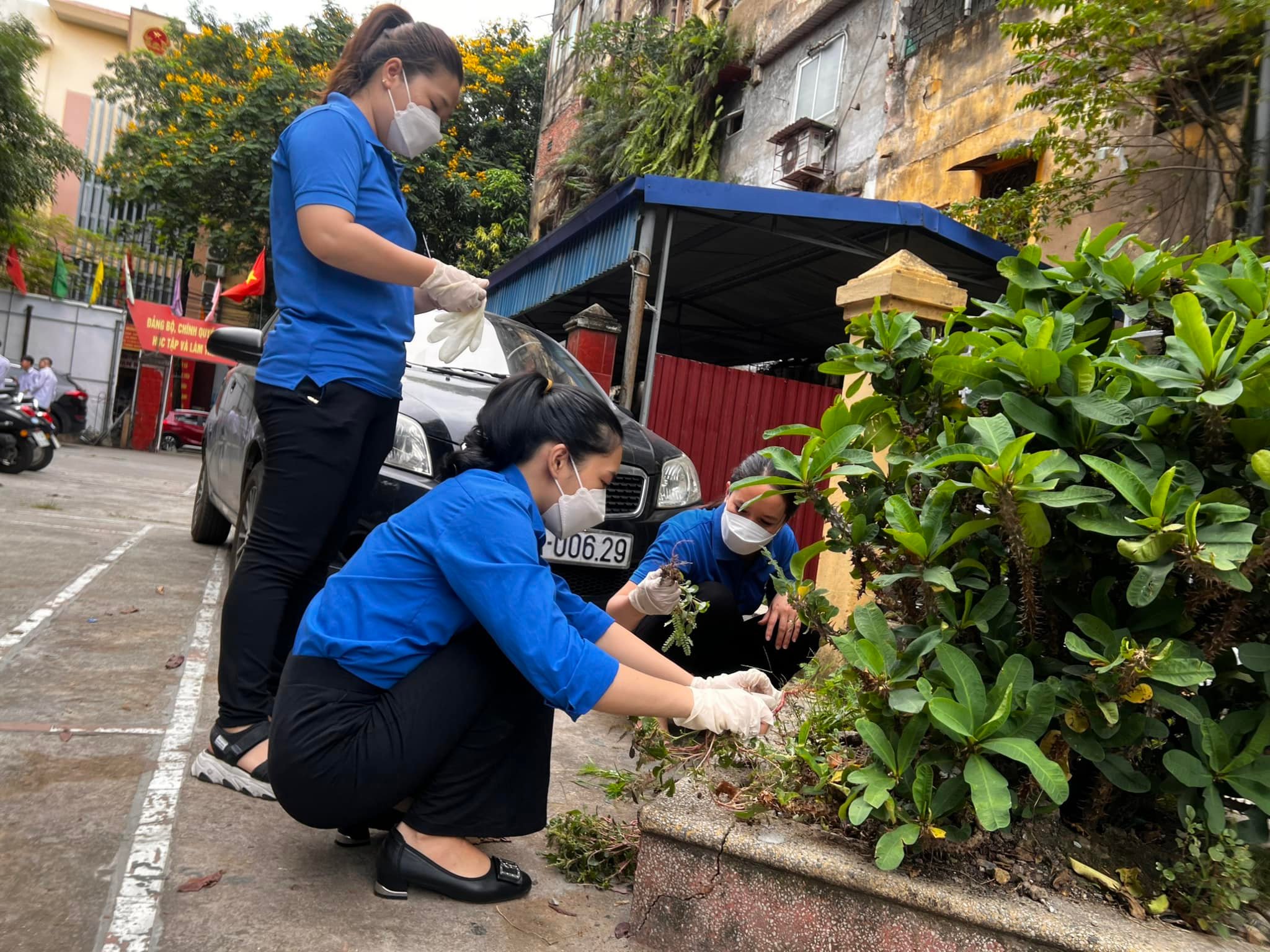 Kết quả thực hiện Chương trình "Vì một Việt Nam xanh" năm 2024, Hưởng ứng phong trào "Trồng cây nhớ Bác - Vì một Việt Nam xanh" 09 tháng đầu năm